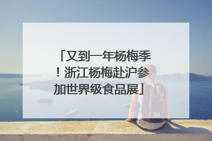 又到一年杨梅季！浙江杨梅赴沪参加世界级食品展