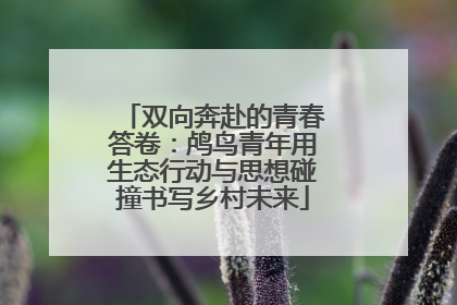 双向奔赴的青春答卷：鸬鸟青年用生态行动与思想碰撞书写乡村未来