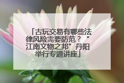 古玩交易有哪些法律风险需要防范？“江南文物之邦”丹阳举行专题讲座