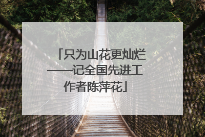 只为山花更灿烂——记全国先进工作者陈萍花
