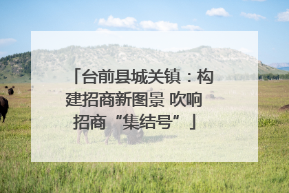 台前县城关镇：构建招商新图景 吹响招商“集结号”