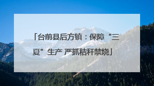 台前县后方镇：保障“三夏”生产 严抓秸秆禁烧