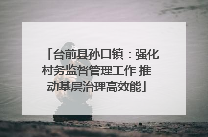 台前县孙口镇：强化村务监督管理工作 推动基层治理高效能