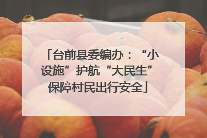 台前县委编办：“小设施”护航“大民生” 保障村民出行安全
