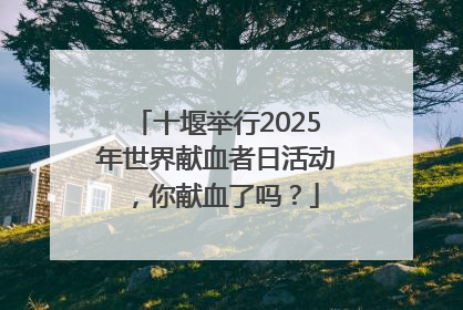 十堰举行2025年世界献血者日活动，你献血了吗？