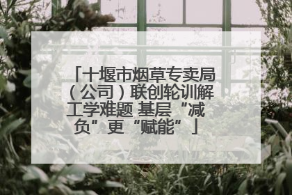十堰市烟草专卖局（公司）联创轮训解工学难题 基层“减负”更“赋能”