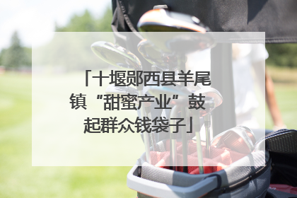 十堰郧西县羊尾镇“甜蜜产业”鼓起群众钱袋子