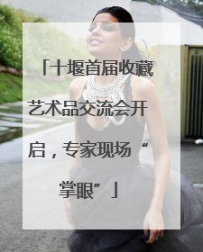 十堰首届收藏艺术品交流会开启，专家现场“掌眼”