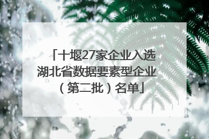 十堰27家企业入选湖北省数据要素型企业（第二批）名单