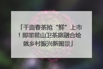 千亩春茶抢“鲜”上市！即墨鳌山卫茶旅融合绘就乡村振兴新图景