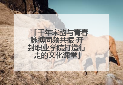 千年宋韵与青春脉搏同频共振 开封职业学院打造行走的文化课堂