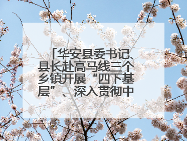 华安县委书记、县长赴高马线三个乡镇开展“四下基层”、深入贯彻中央八项规定精神学习教育工作调研