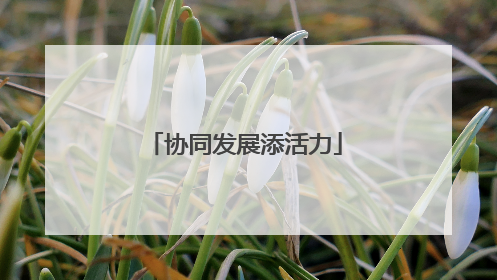协同发展添活力