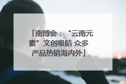南博会：“云南元素”文创吸睛 众多产品热销海内外