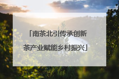 南茶北引传承创新 茶产业赋能乡村振兴