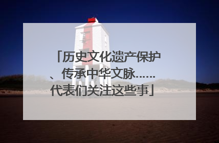 历史文化遗产保护、传承中华文脉……代表们关注这些事