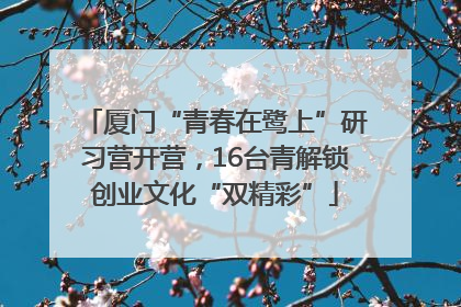 厦门“青春在鹭上”研习营开营，16台青解锁创业文化“双精彩”