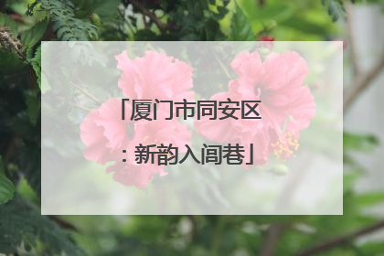 厦门市同安区：新韵入闾巷