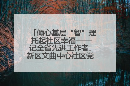 倾心基层“智”理 托起社区幸福——记全省先进工作者、新区文曲中心社区党委书记董世弘