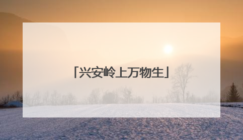 兴安岭上万物生