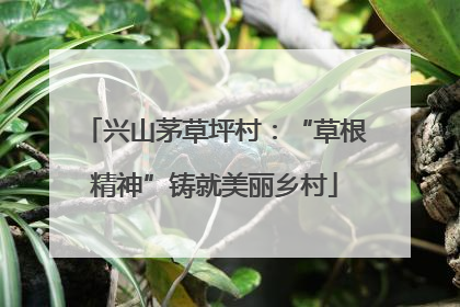 兴山茅草坪村：“草根精神”铸就美丽乡村