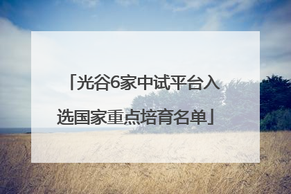 光谷6家中试平台入选国家重点培育名单