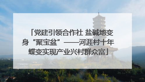 党建引领合作社 盐碱地变身“聚宝盆”——河涯村十年蝶变实现产业兴村群众富