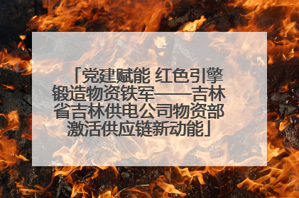 党建赋能 红色引擎锻造物资铁军——吉林省吉林供电公司物资部激活供应链新动能