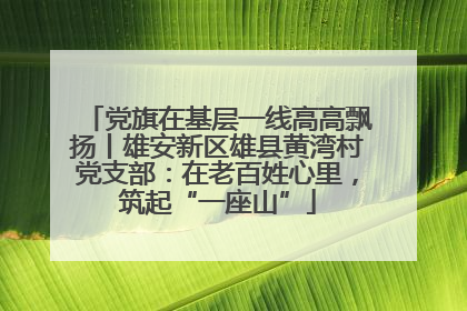 党旗在基层一线高高飘扬丨雄安新区雄县黄湾村党支部：在老百姓心里，筑起“一座山”