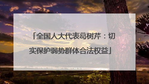 全国人大代表葛树芹：切实保护弱势群体合法权益