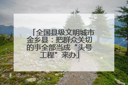 全国县级文明城市金乡县：把群众关切的事全部当成“头号工程”来办