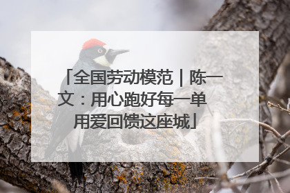 全国劳动模范｜陈一文：用心跑好每一单 用爱回馈这座城