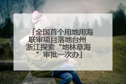 全国首个用地用海联审项目落地台州 浙江探索“地林草海”审批一次办