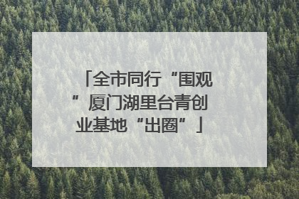 全市同行“围观”厦门湖里台青创业基地“出圈”