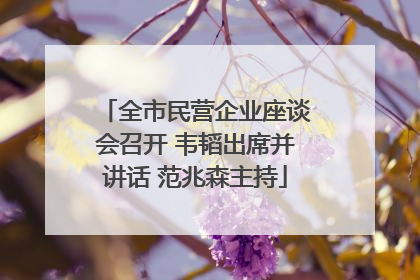 全市民营企业座谈会召开 韦韬出席并讲话 范兆森主持