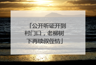 公开听证开到村门口，老柳树下再续叔侄情