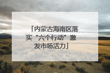 内蒙古海南区落实“六个行动”激发市场活力