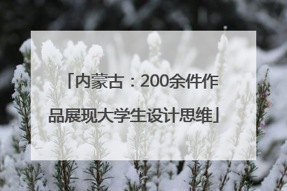 内蒙古：200余件作品展现大学生设计思维