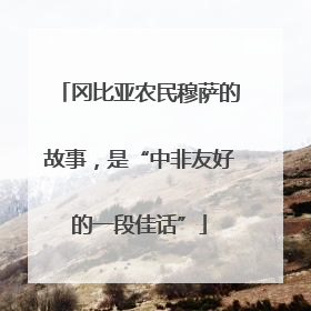 冈比亚农民穆萨的故事，是“中非友好的一段佳话”
