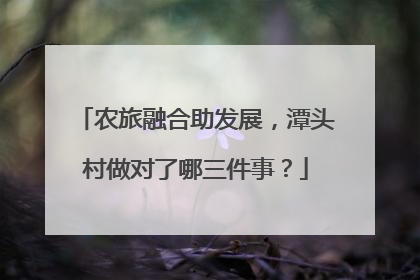 农旅融合助发展，潭头村做对了哪三件事？