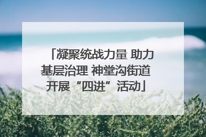 凝聚统战力量 助力基层治理 神堂沟街道开展“四进”活动