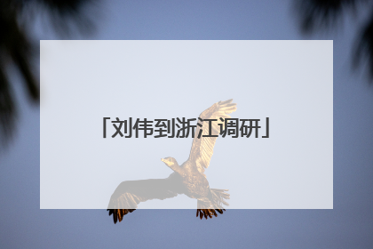 刘伟到浙江调研