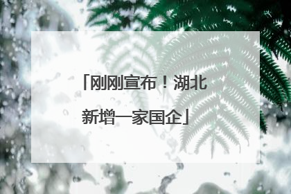 刚刚宣布！湖北新增一家国企