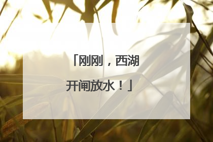 刚刚，西湖开闸放水！