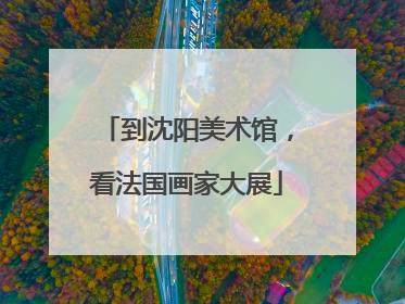 到沈阳美术馆，看法国画家大展