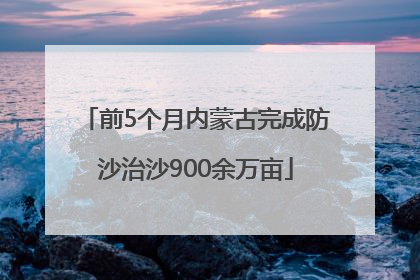 前5个月内蒙古完成防沙治沙900余万亩