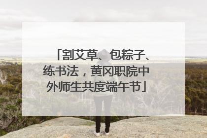割艾草、包粽子、练书法，黄冈职院中外师生共度端午节