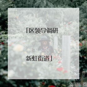 区领导调研新虹街道