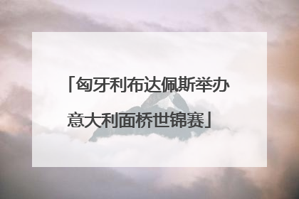 匈牙利布达佩斯举办意大利面桥世锦赛