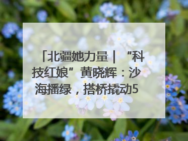 北疆她力量｜“科技红娘”黄晓辉：沙海播绿，搭桥撬动5.3亿研发